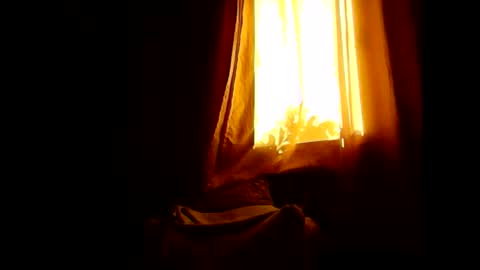 Opree online show from 01-31-26, 07:11