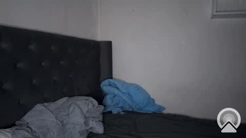 origamicat online show from 02-06-25, 03:20