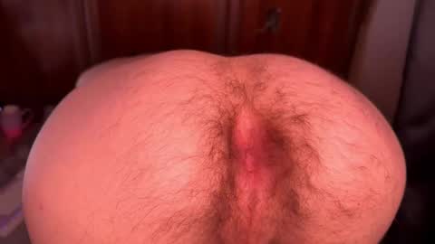 origamicat online show from 10-13-25, 11:05