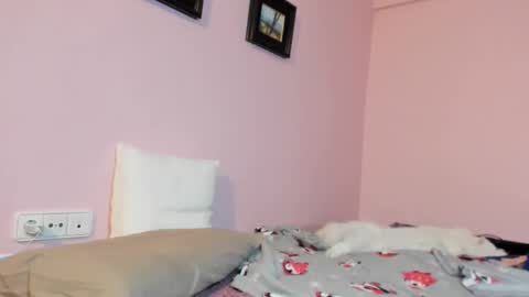 Merce   online show from 01-17-25, 08:24