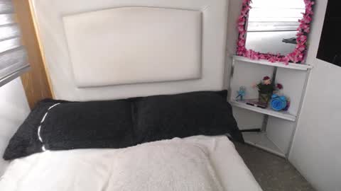 Snapshot of palmer_mix chatting on 01-07-25, 07:49 Palmer online show from 01-07-25, 07:49