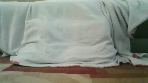 palmerwoodx online show from 02-02-26, 05:33