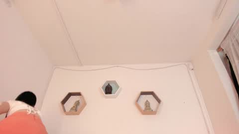 Paloma  online show from 01-21-25, 08:32