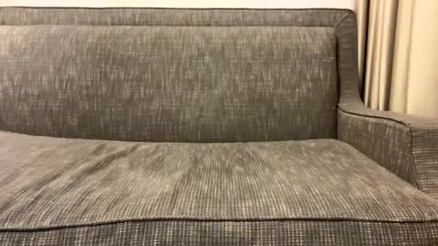 Oleg online show from 02-11-25, 02:57