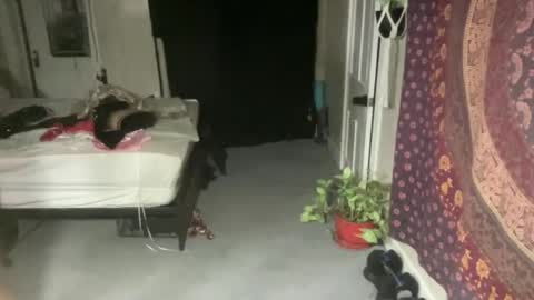 Pantiesofthefae online show from 02-21-25, 12:16