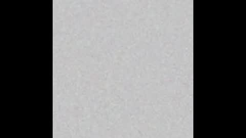 PantsLessTraveler online show from 12-31-24, 08:02