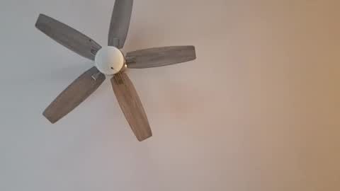 Snapshot of patrick247288 chatting on 01-12-25, 09:40 patrick247288 online show from 01-12-25, 09:40