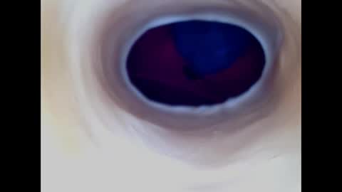 Paula 18 Aninhos online show from 12-17-25, 05:57