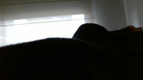 paulina online show from 02-10-25, 03:42