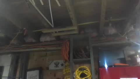 Snapshot of paulstetson chatting on 12-20-24, 10:43 paulstetson online show from 12-20-24, 10:43