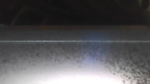 Snapshot of paulstetson chatting on 12-26-24, 08:00 paulstetson online show from 12-26-24, 08:00