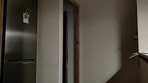 Naturist online show from 09-25-25, 11:19