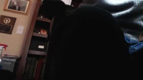 pem1650 online show from 01-12-25, 10:54