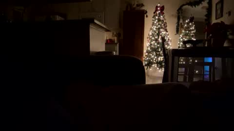 penessy47 online show from 12-19-25, 10:55