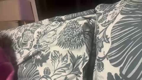 penutbutter691 online show from 11-19-25, 11:27