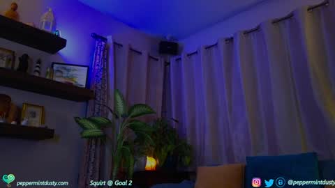 Snapshot of peppermintdusty chatting on 12-19-24, 04:13 Peppermint and Dusty  online show from 12-19-24, 04:13