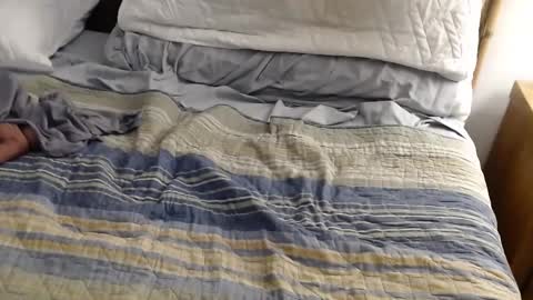 Snapshot of perdidobch chatting on 12-13-24, 01:44 perdidobch online show from 12-13-24, 01:44