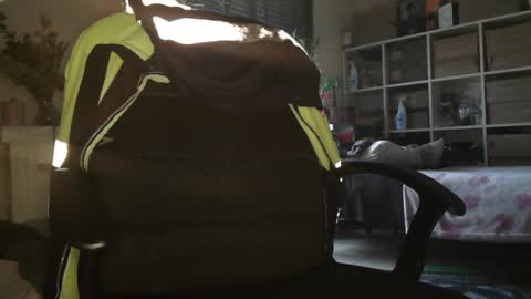 Snapshot of peregrintpelfox chatting on 12-16-25, 10:20 peregrintpelfox online show from 12-16-25, 10:20