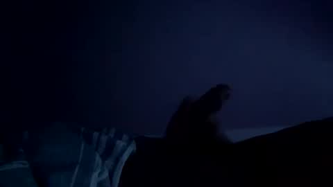 Snapshot of perfect427482577143 chatting on 02-26-26, 08:24 perfect427482577143 online show from 02-26-26, 08:24