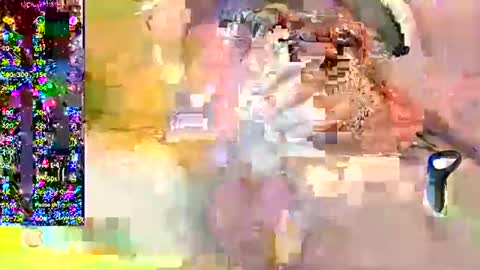 Petardo online show from 12-18-24, 09:36