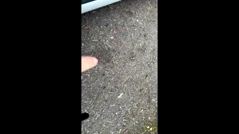 pete444555 online show from 09-26-25, 05:44