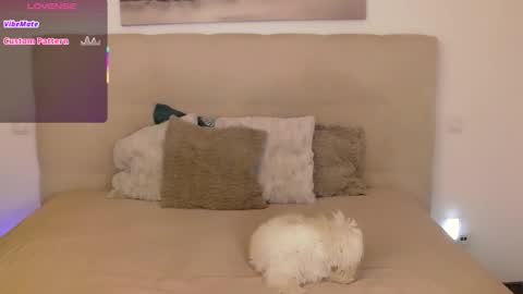 Snapshot of petersemily chatting on 09-14-25, 10:20 Peters Emily online show from 09-14-25, 10:20