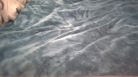 Little cupcake online show from 02-26-25, 02:59