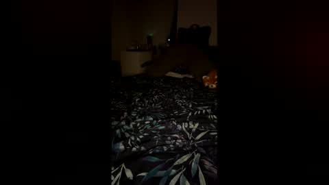 PetiteCurves online show from 02-12-26, 11:33