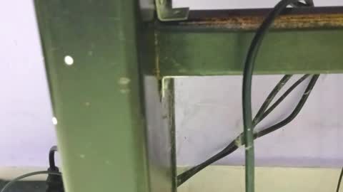 danna online show from 12-23-24, 01:40