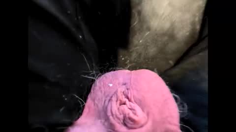 Snapshot of petrol63102 chatting on 02-20-26, 01:22 petrol63102 online show from 02-20-26, 01:22