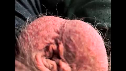 Snapshot of petrol63102 chatting on 02-26-26, 01:10 petrol63102 online show from 02-26-26, 01:10