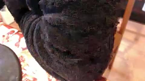 piercedcock069 online show from 01-17-26, 10:09