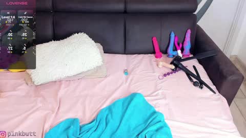 Snapshot of pinkslobber chatting on 01-16-25, 02:51 Helen Goat online show from 01-16-25, 02:51