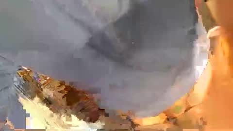 pippetta1 online show from 11-21-25, 03:00