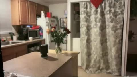 Snapshot of pirdybirdyxo chatting on 01-30-25, 04:06 pirdybirdyxo online show from 01-30-25, 04:06