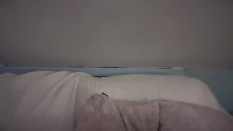 Snapshot of pirdybirdyxo chatting on 02-26-25, 03:42 pirdybirdyxo online show from 02-26-25, 03:42