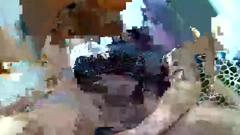 pislezg1 online show from 02-07-25, 11:45