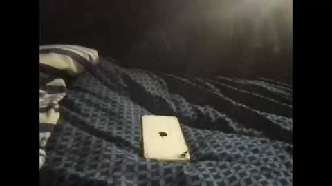 Snapshot of pityboycock chatting on 09-09-25, 10:42 whom like be watching.i online show from 09-09-25, 10:42