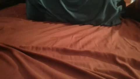 Plague Cockter online show from 02-24-26, 05:49