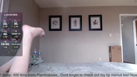 Plantbabeee online show from 12-20-24, 06:13