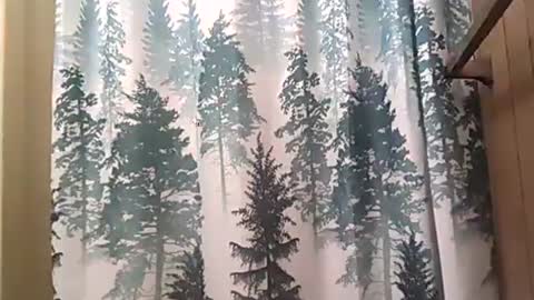 Snapshot of playboy5543 chatting on 12-12-24, 02:37 SEX ADDICTION WANNA MEET online show from 12-12-24, 02:37