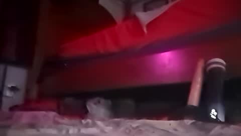 Snapshot of playboy5543 chatting on 12-12-24, 12:44 SEX ADDICTION WANNA MEET online show from 12-12-24, 12:44