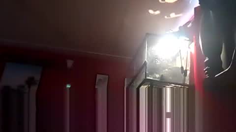 Snapshot of playboy5543 chatting on 12-19-24, 06:34 SEX ADDICTION WANNA MEET online show from 12-19-24, 06:34