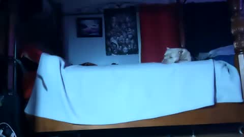 Snapshot of playboy5543 chatting on 01-20-25, 06:10 SEX ADDICTION WANNA MEET online show from 01-20-25, 06:10