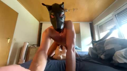 playdog123 online show from 09-21-25, 11:56