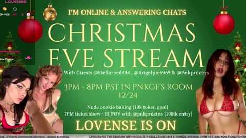 Snapshot of pnkgf chatting on 12-23-24, 04:06 pnkgf online show from 12-23-24, 04:06