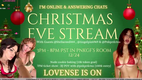 Snapshot of pnkgf chatting on 12-24-24, 11:00 pnkgf online show from 12-24-24, 11:00