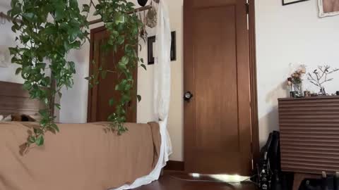 Snapshot of pnkgf chatting on 02-19-25, 12:46 pnkgf online show from 02-19-25, 12:46