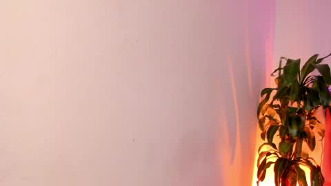 Patrocla online show from 02-13-25, 05:11