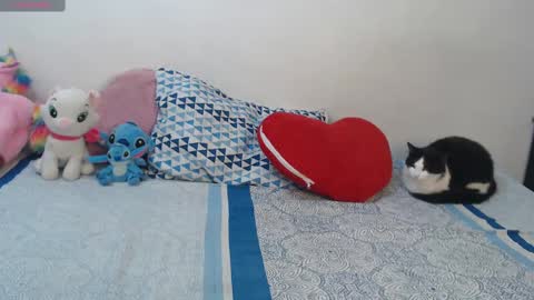 Snapshot of pocahontas_princess__ chatting on 10-29-25, 04:20 Pocahontas online show from 10-29-25, 04:20